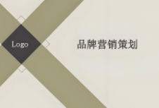 明確且有效的品牌營銷策劃對于企業(yè)的發(fā)展至關重要