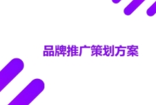 如何進行有效的品牌策劃吸引消費者，提高市場份額？